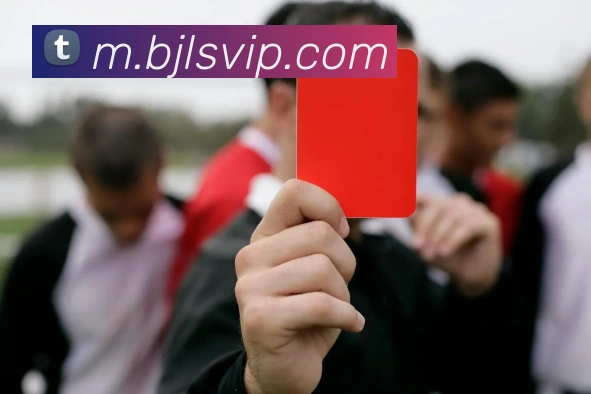 百家乐网站发展历程